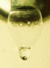 Wassertropfen