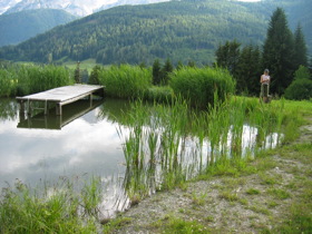 Teich